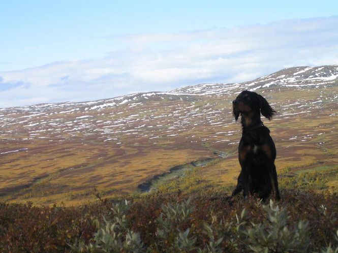 Hovedbilde Grunnkurs