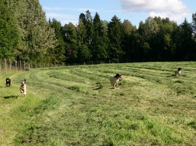 Hovedbilde Temadag: Innkalling